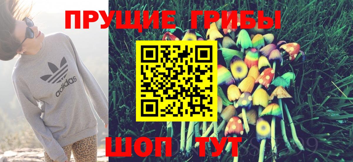 Псилоцибиновые грибы прущие грибы Печора