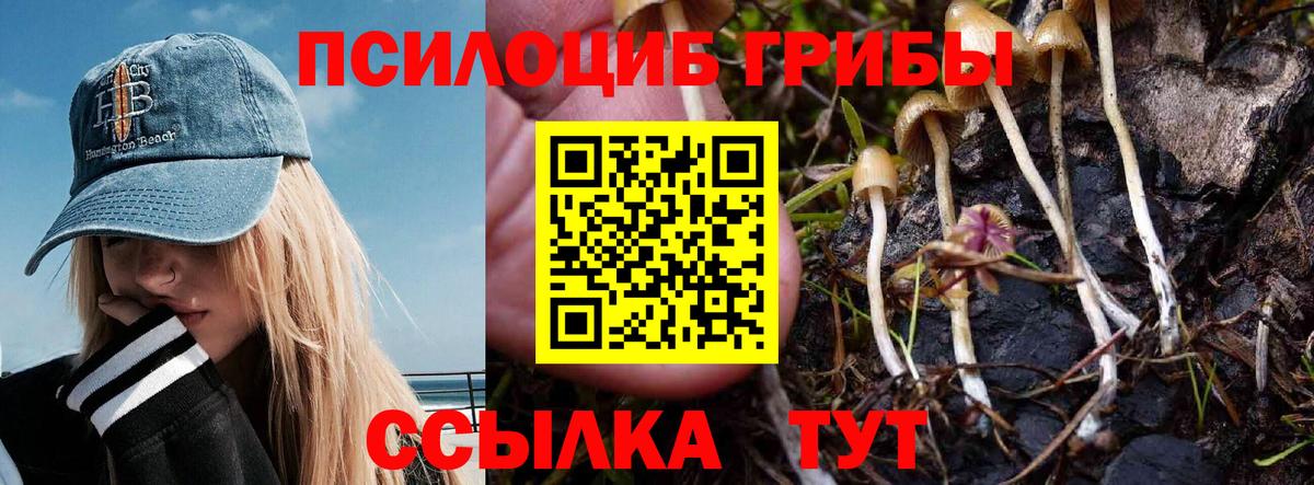 Галлюциногенные грибы прущие грибы  Вход с VPN  Псилоцибиновые грибы прущие грибы  Печора 